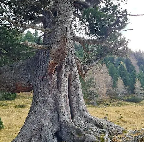 Haus Emmy - Urlaub Bei Freunden Hohentauern