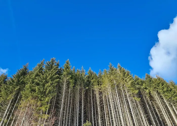 Haus Emmy - Urlaub Bei Freunden Dom wakacyjny